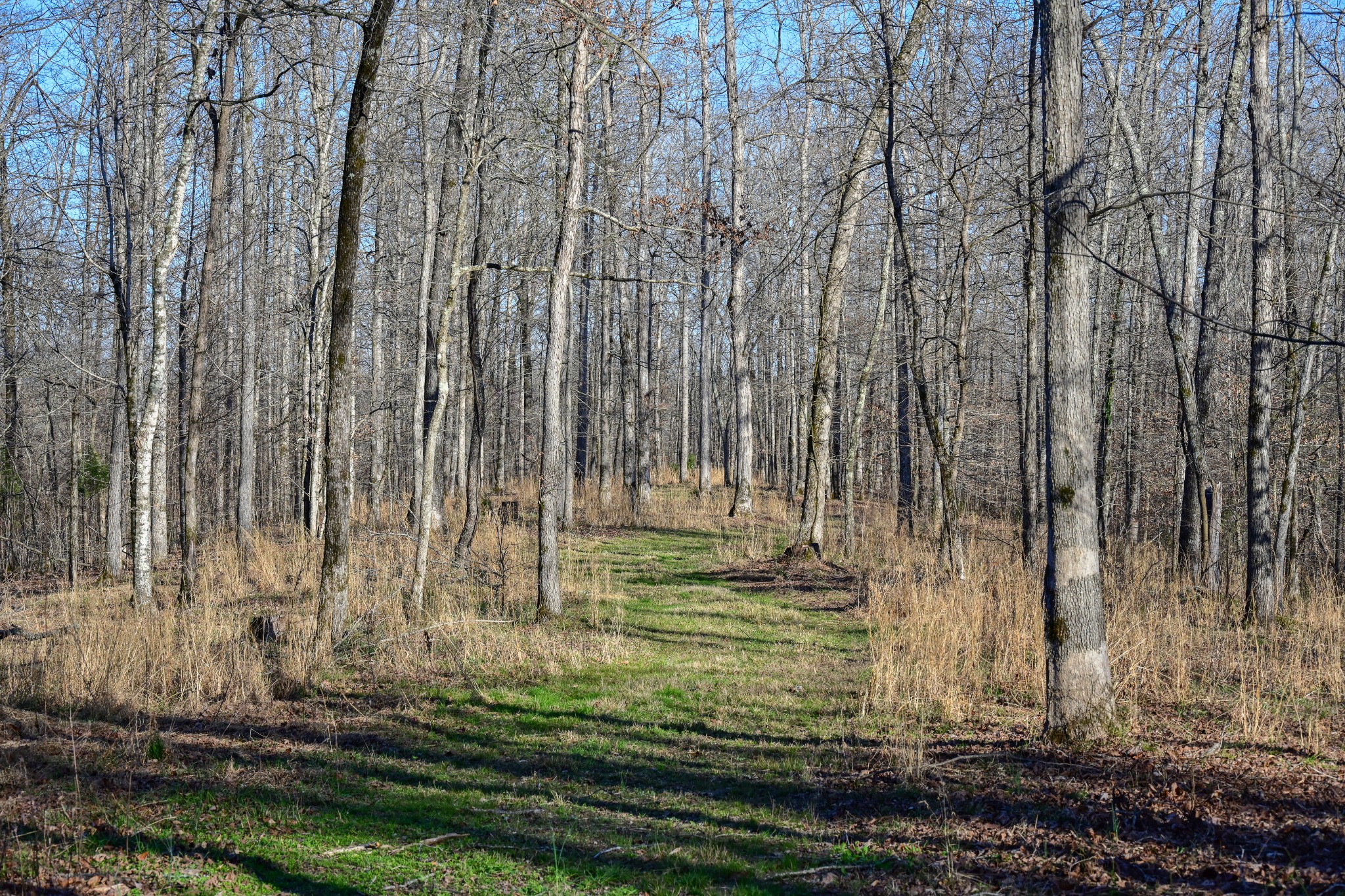 317 Highway 100 Centerville TN 37033