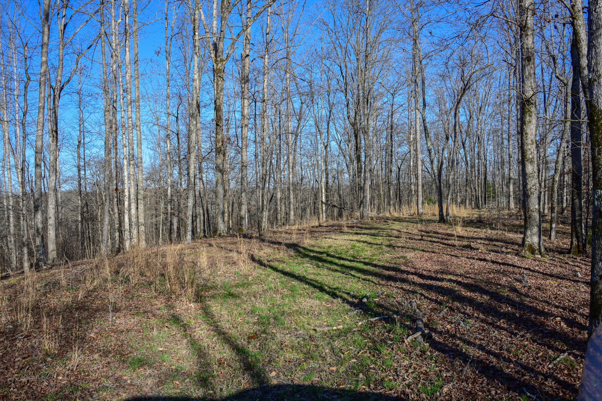 317 Highway 100 Centerville TN 37033