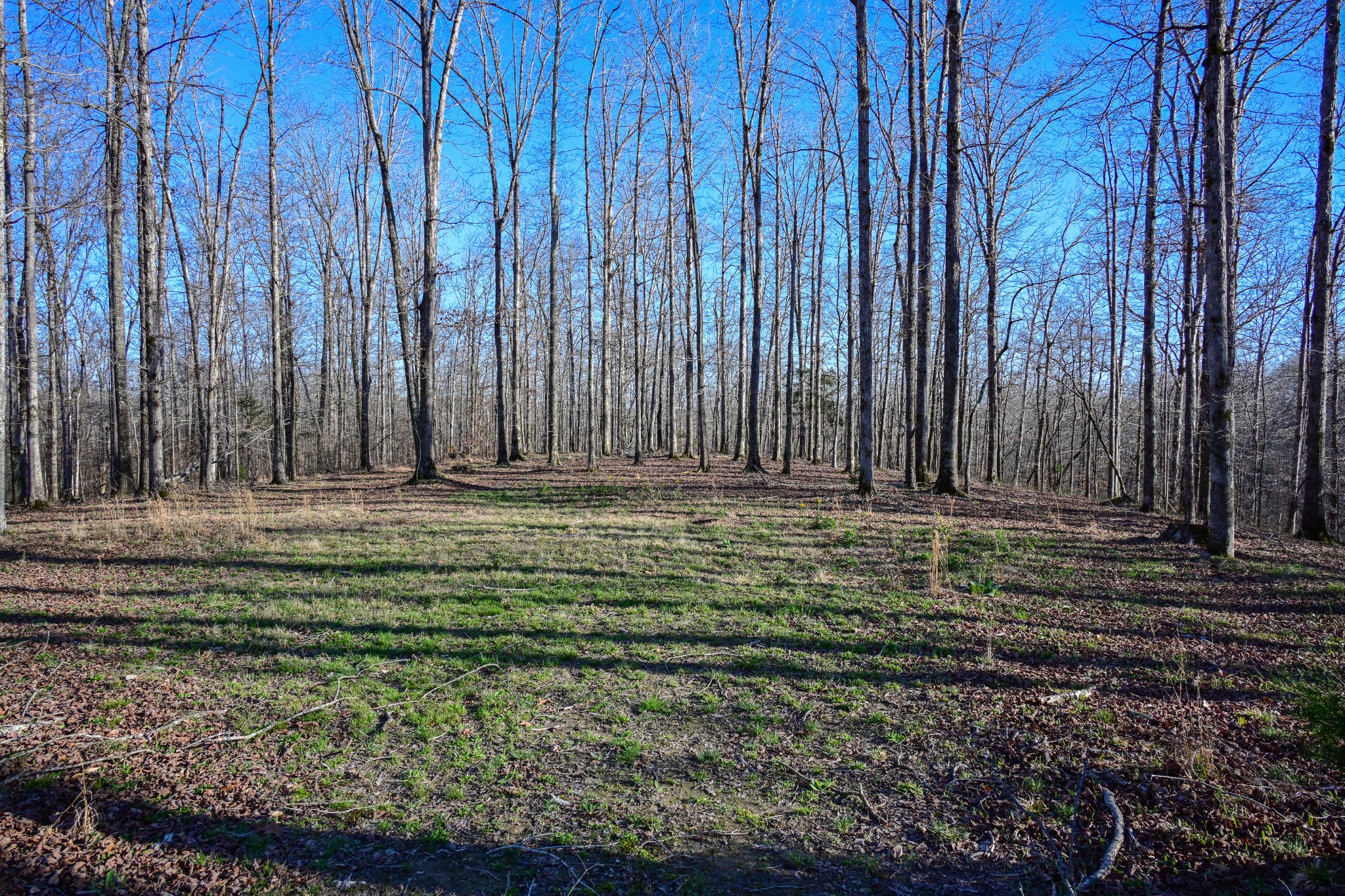 317 Highway 100 Centerville TN 37033