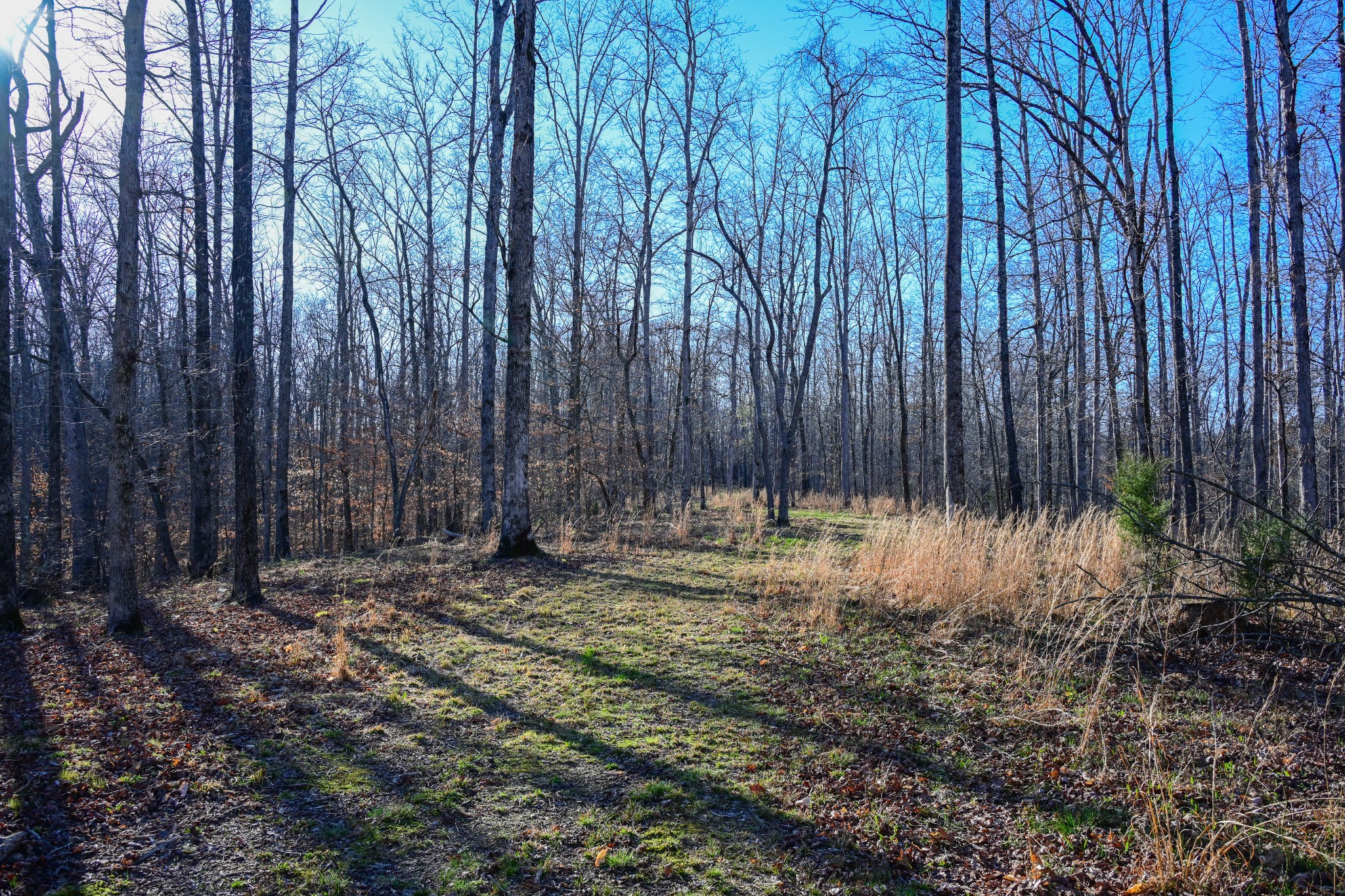 317 Highway 100 Centerville TN 37033