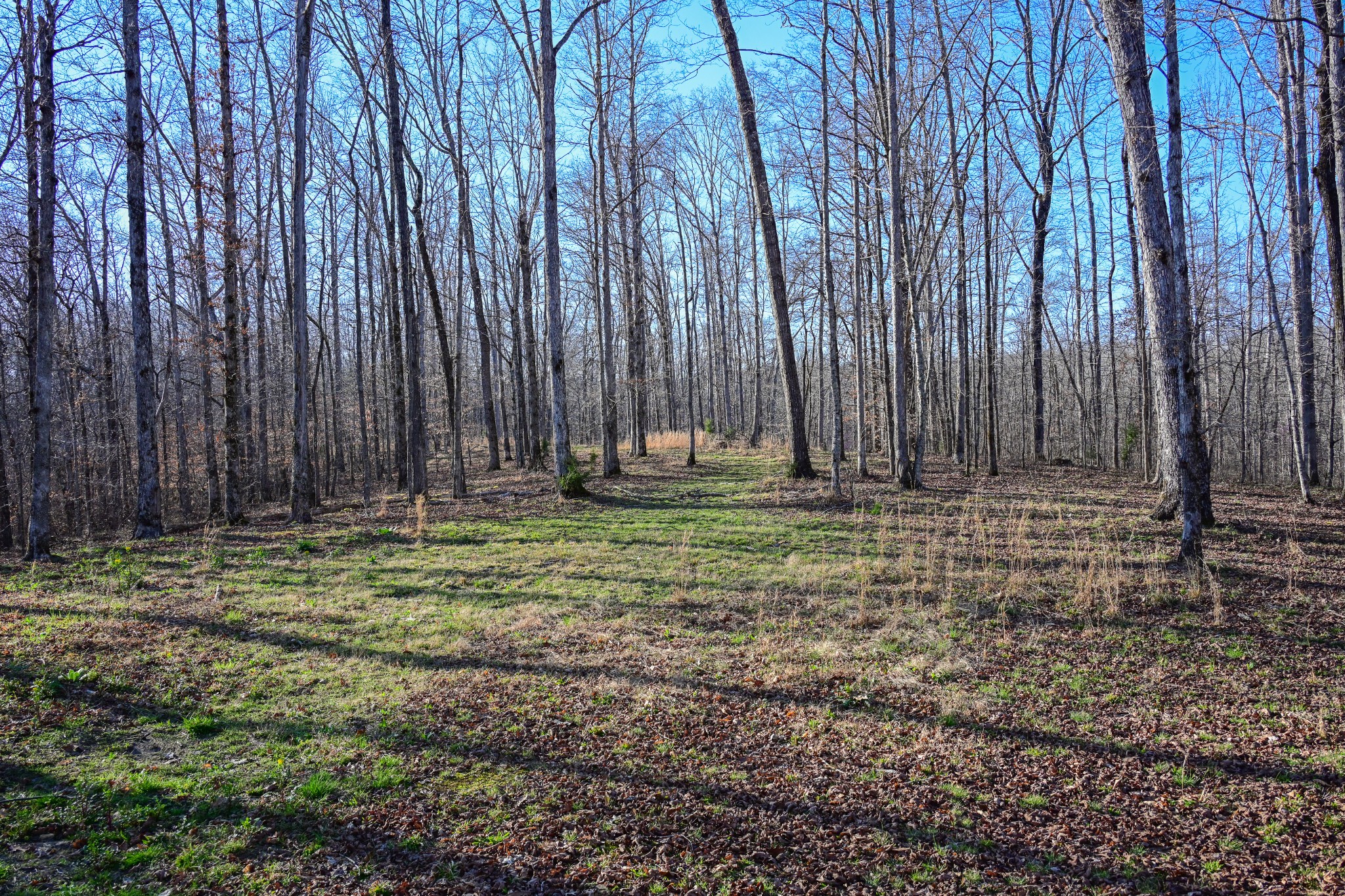 317 Highway 100 Centerville TN 37033