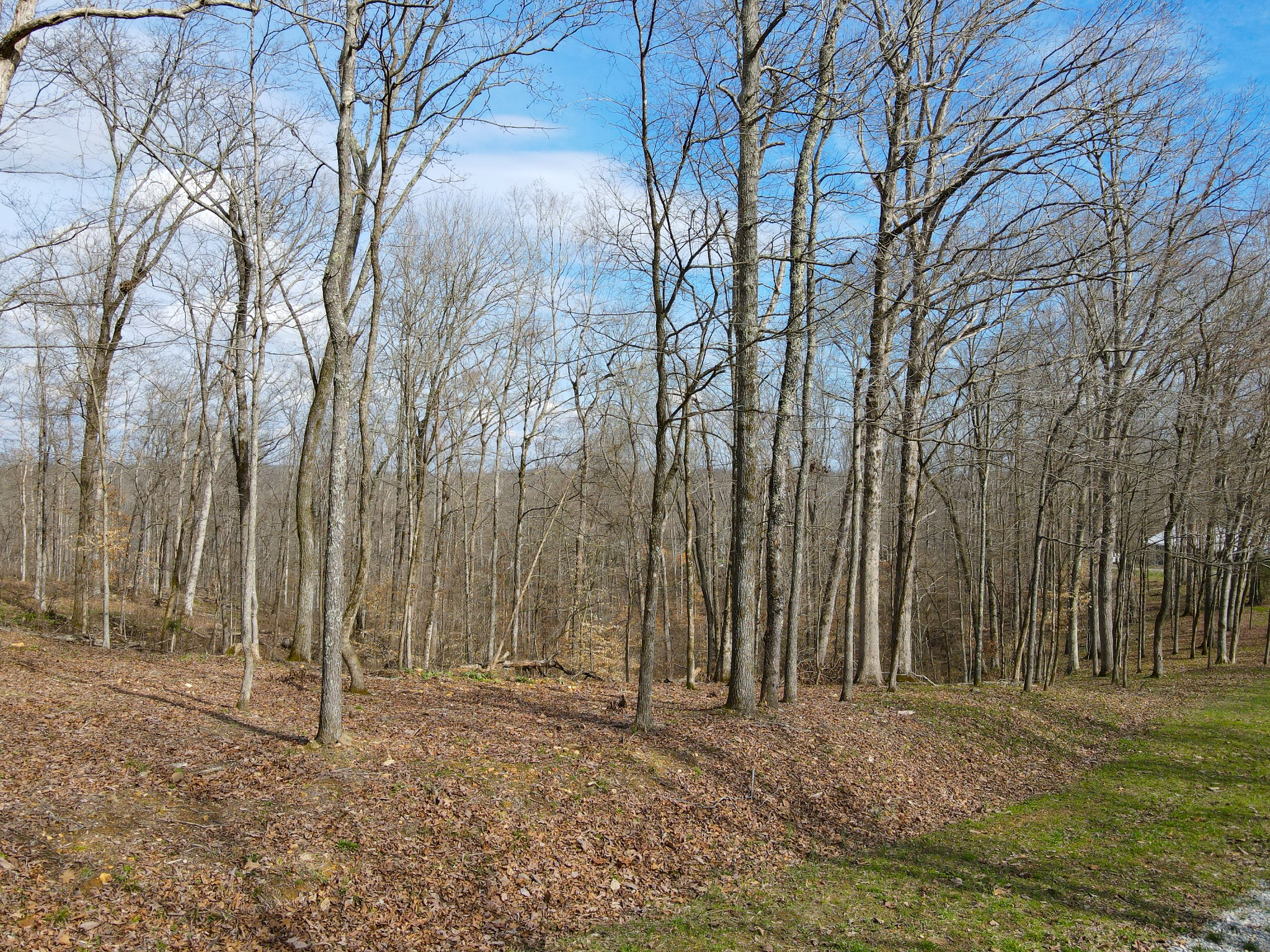 317 Highway 100 Centerville TN 37033