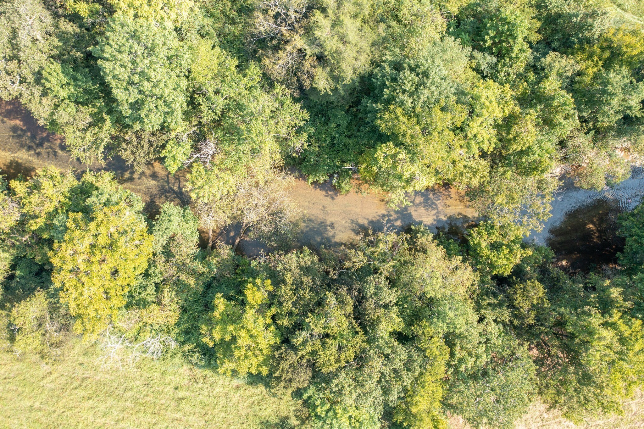 1 Hampshire Pike Columbia TN 38401