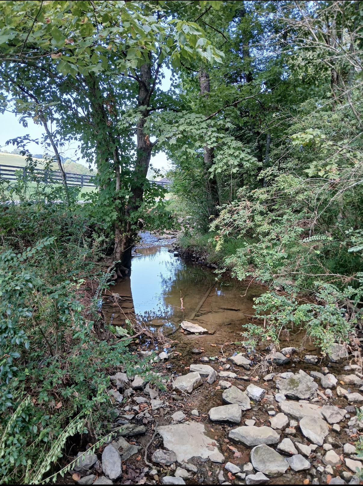 10 Cedar Bluff Road Lafayette TN 37083