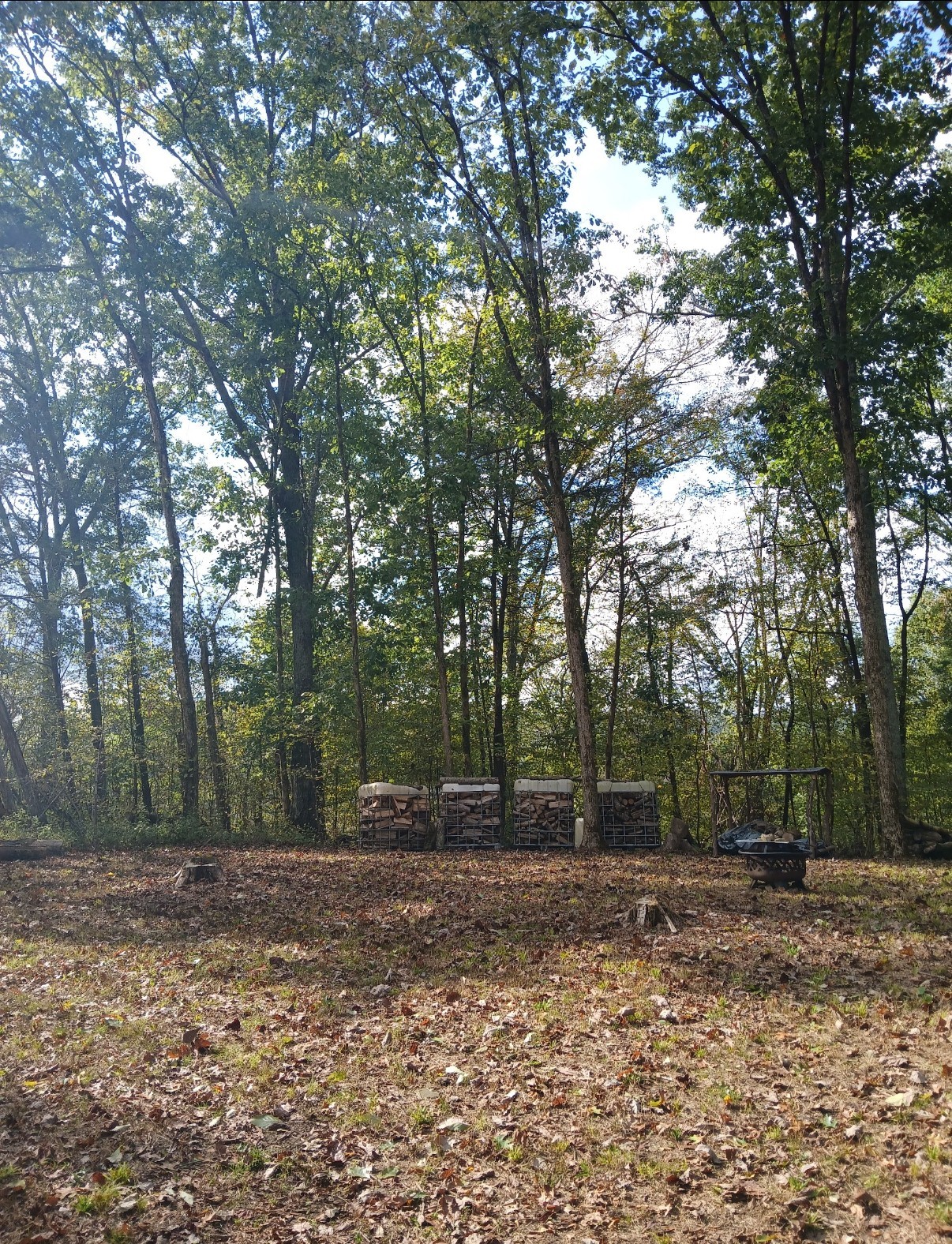 10 Cedar Bluff Road Lafayette TN 37083