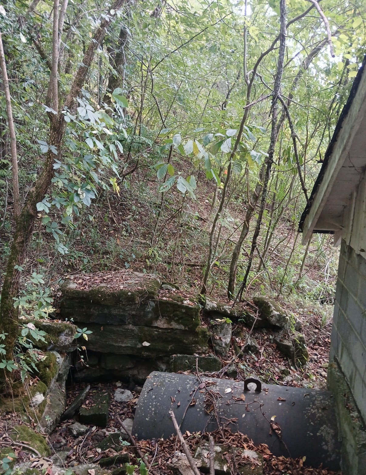 10 Cedar Bluff Road Lafayette TN 37083