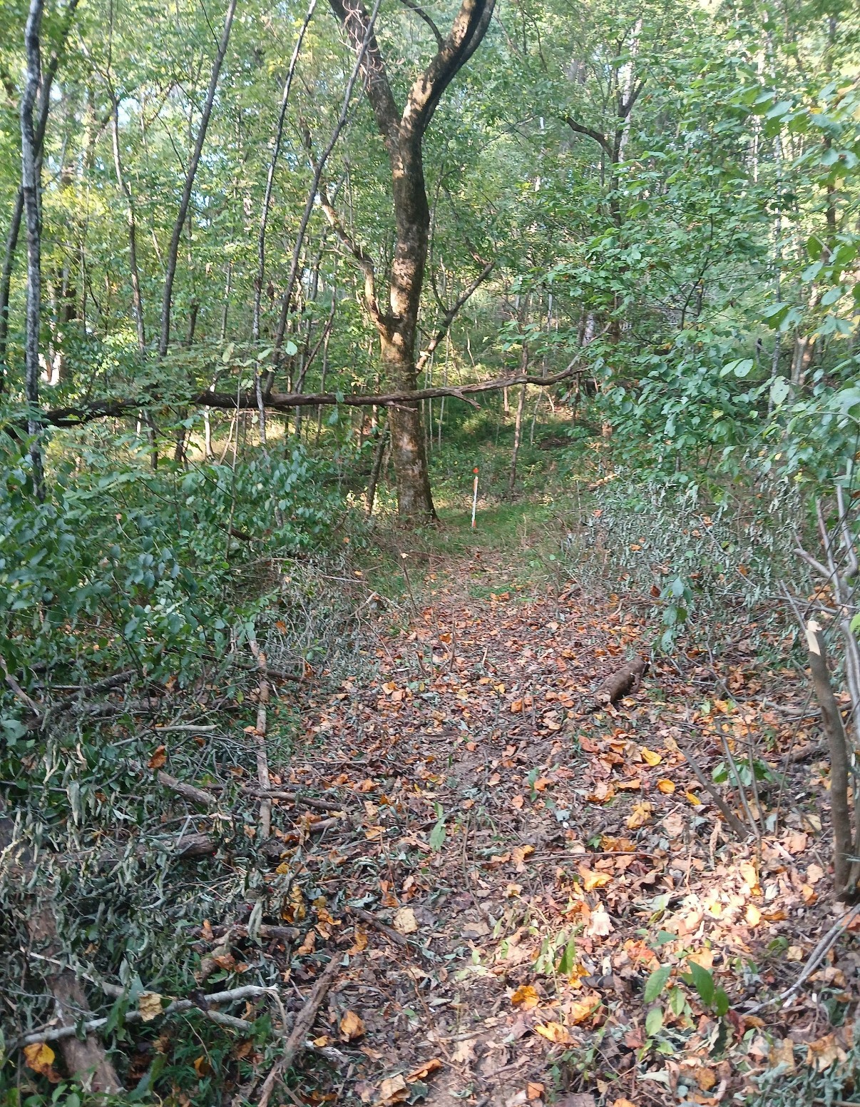10 Cedar Bluff Road Lafayette TN 37083