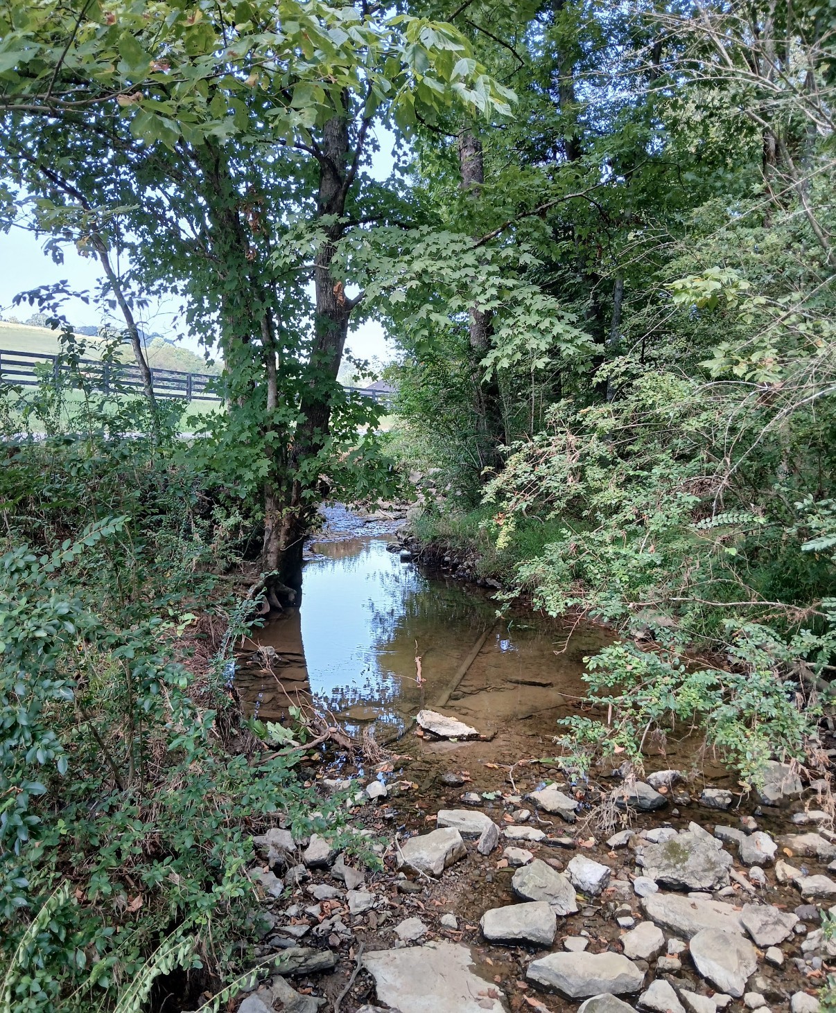 10 Cedar Bluff Road Lafayette TN 37083