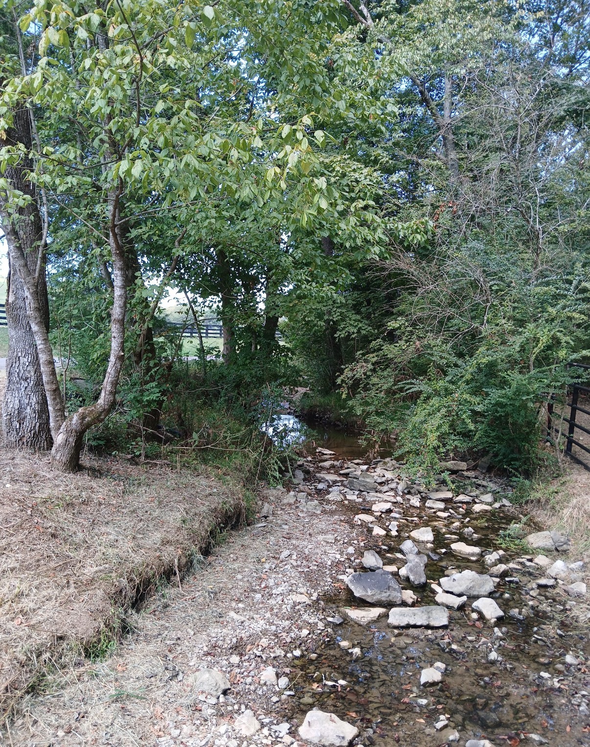 10 Cedar Bluff Road Lafayette TN 37083