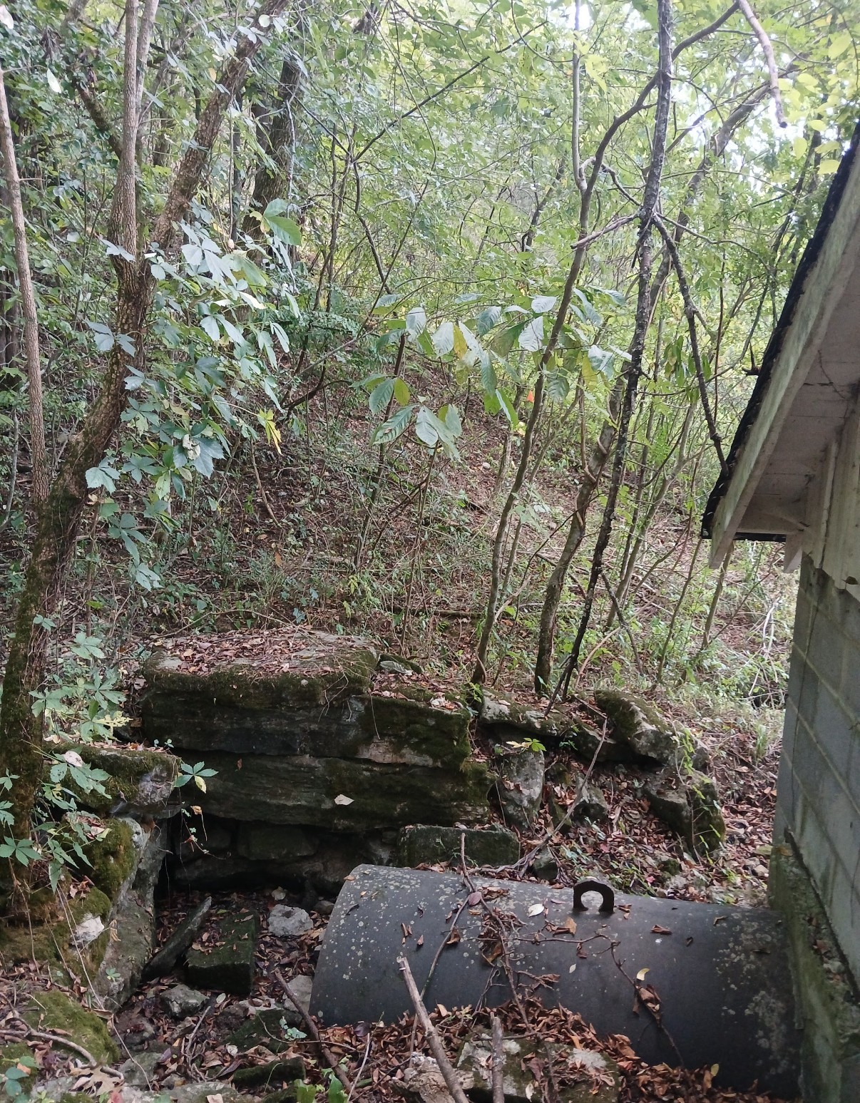 10 Cedar Bluff Road Lafayette TN 37083