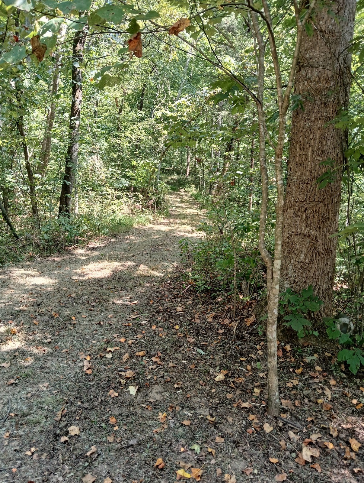 10 Cedar Bluff Road Lafayette TN 37083