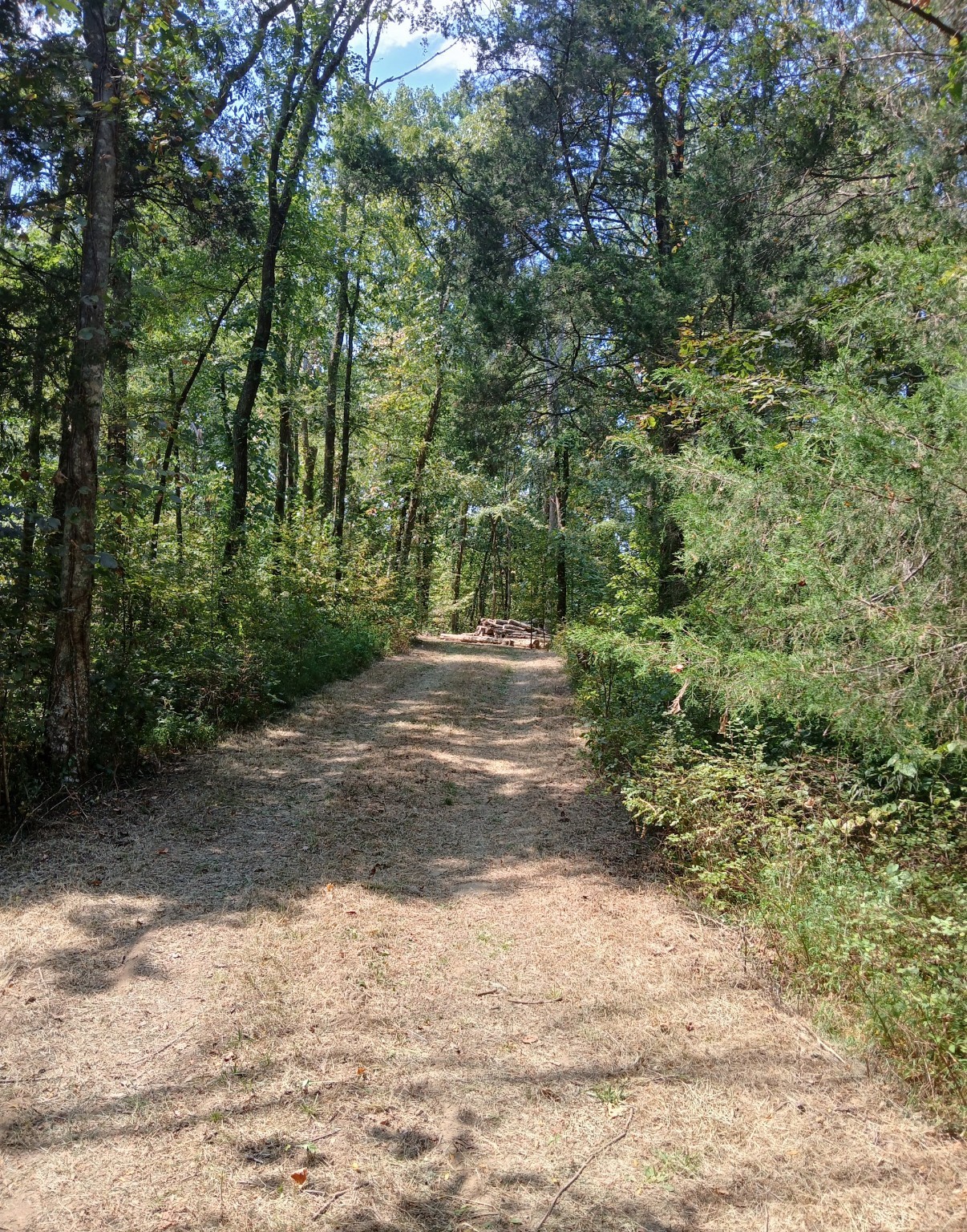 10 Cedar Bluff Road Lafayette TN 37083