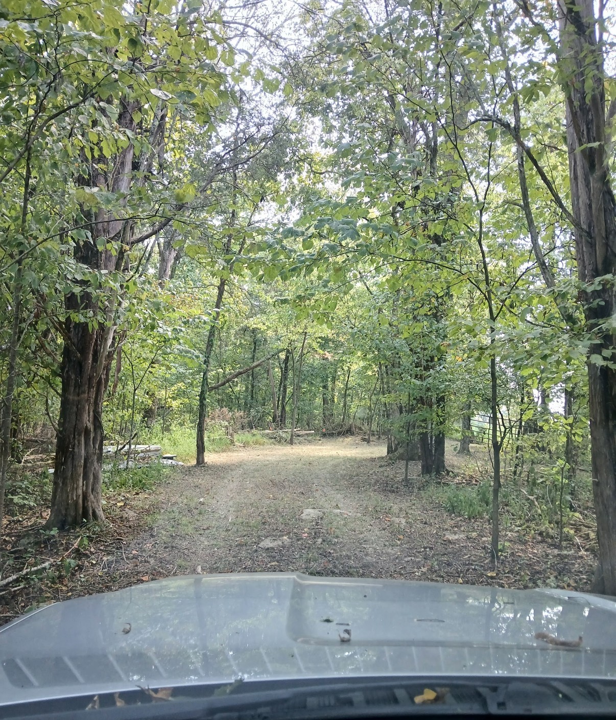 10 Cedar Bluff Road Lafayette TN 37083