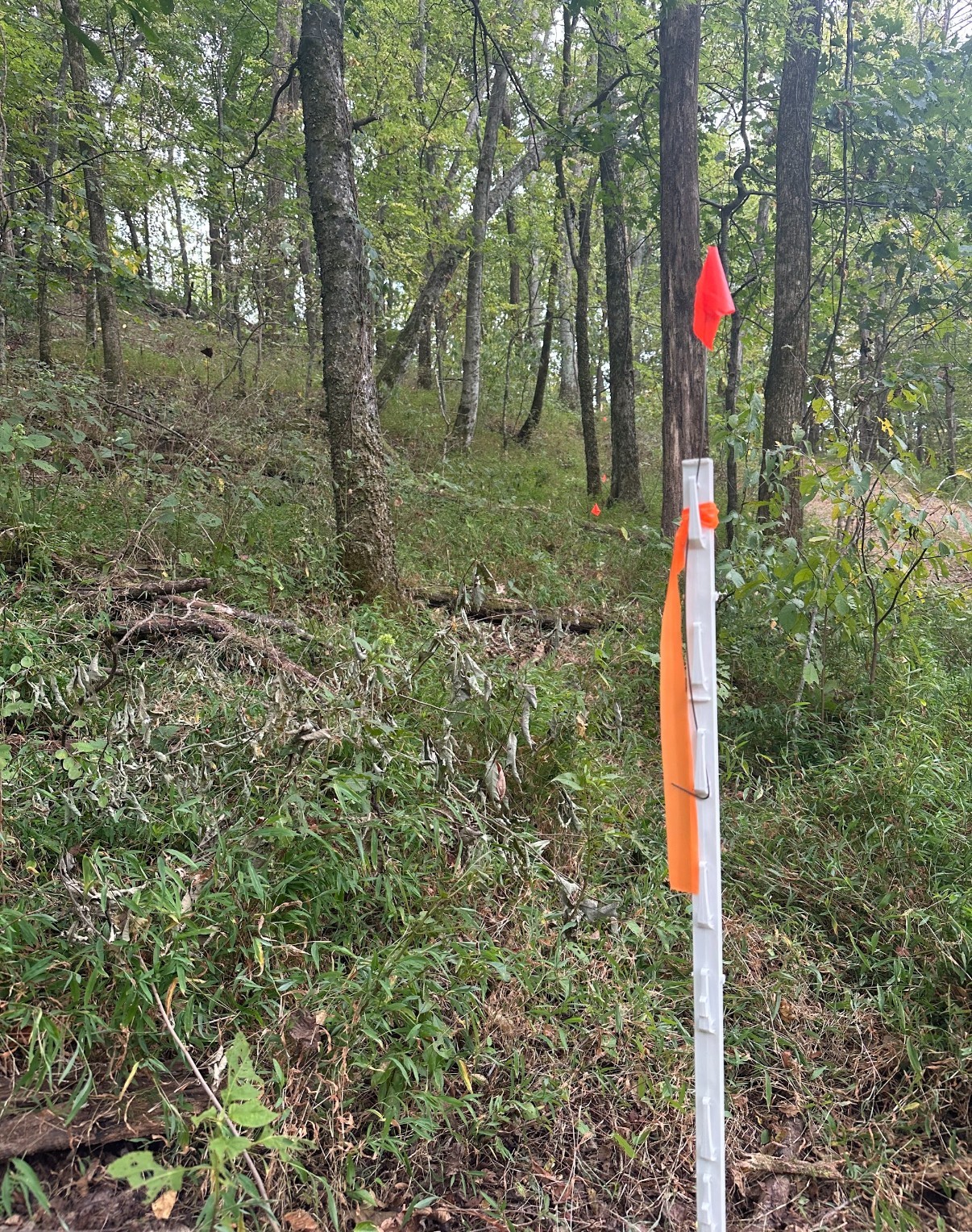 10 Cedar Bluff Road Lafayette TN 37083