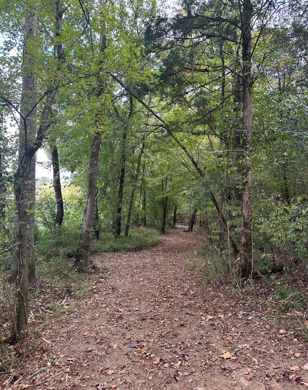 10 Cedar Bluff Road Lafayette TN 37083
