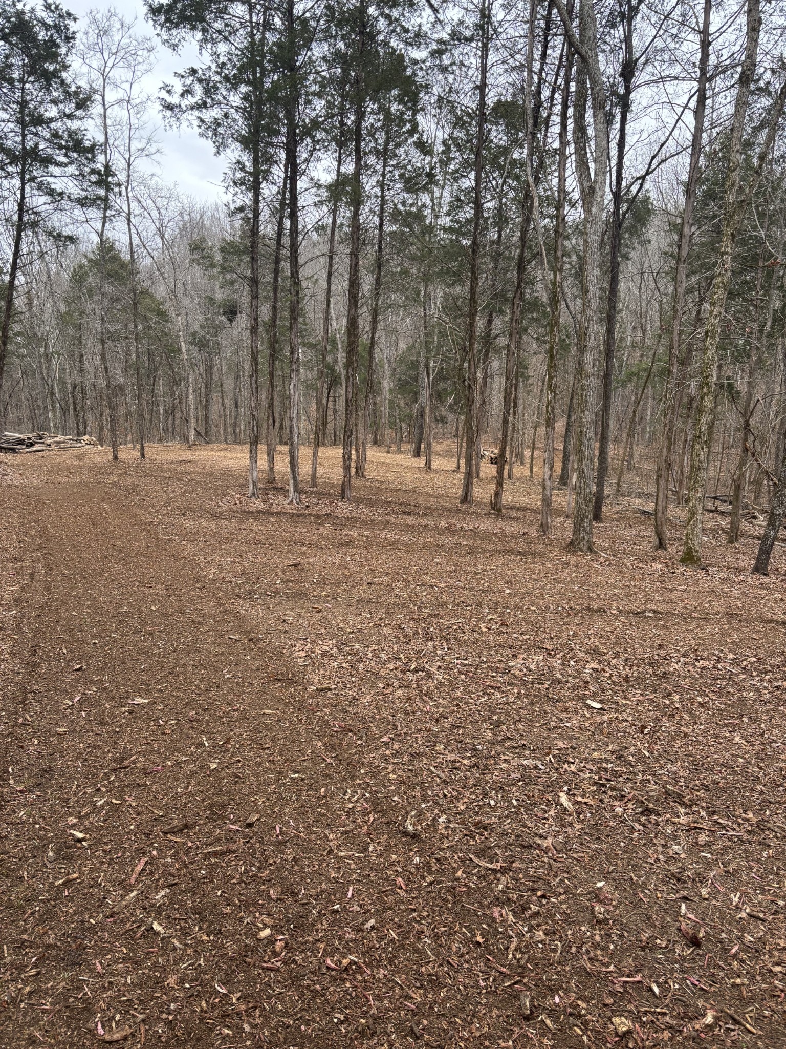 10 Cedar Bluff Road Lafayette TN 37083