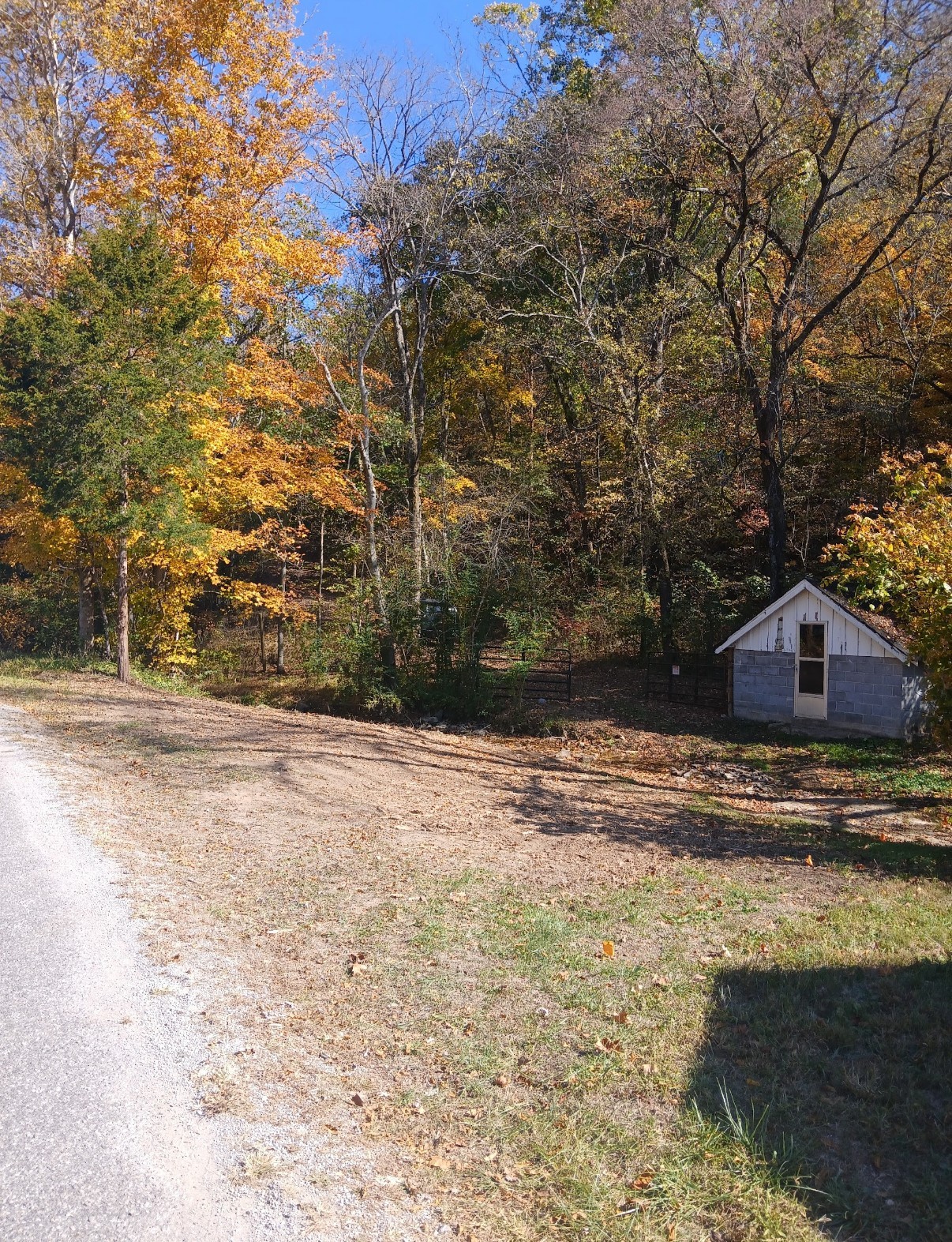 10 Cedar Bluff Road Lafayette TN 37083