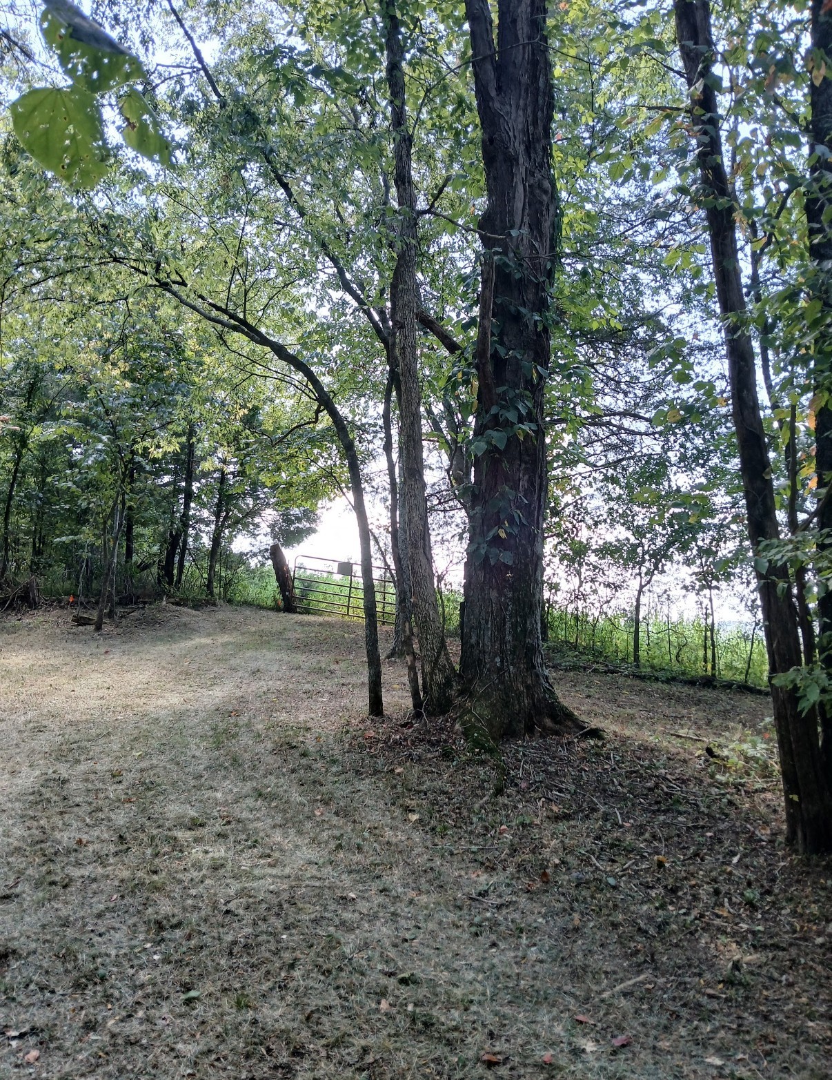 10 Cedar Bluff Road Lafayette TN 37083