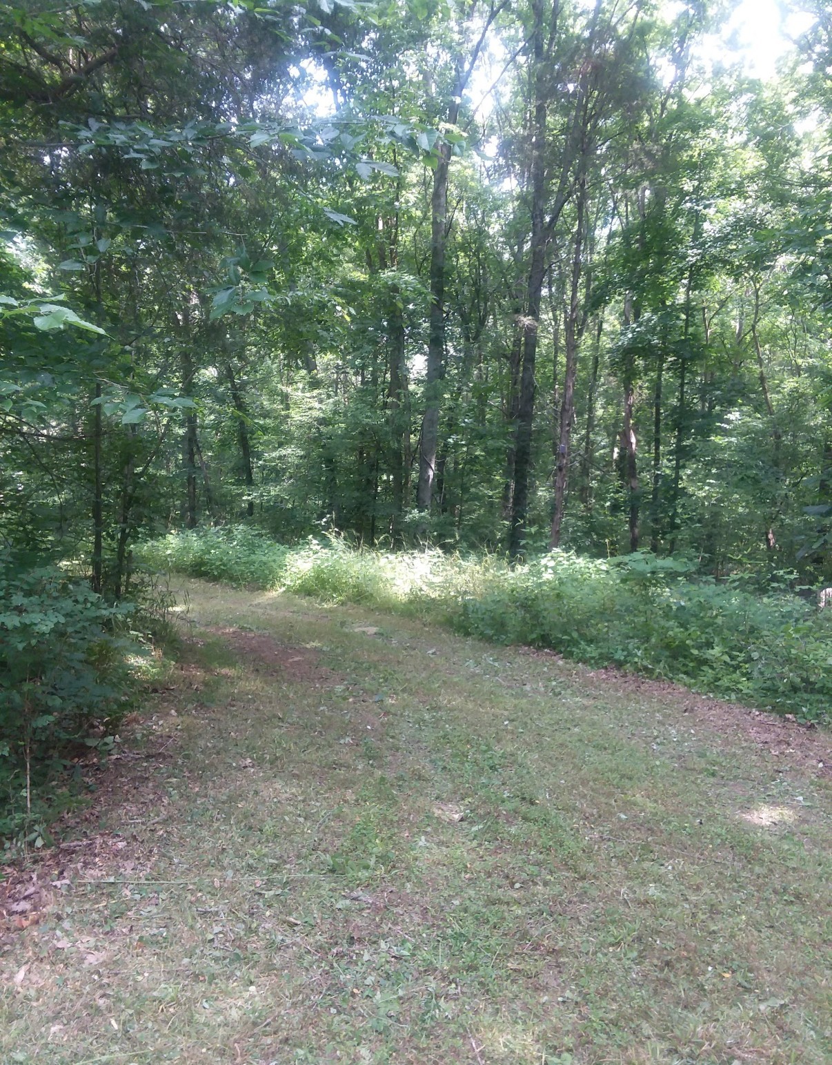 10 Cedar Bluff Road Lafayette TN 37083