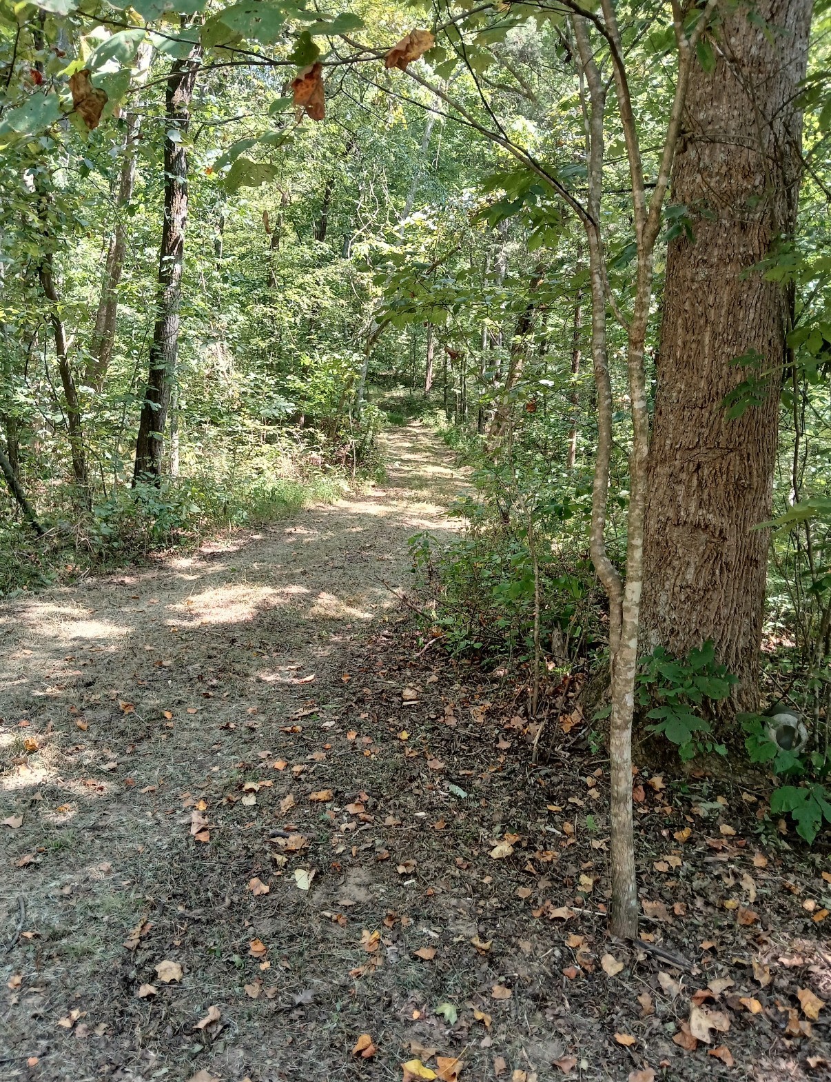 10 Cedar Bluff Road Lafayette TN 37083