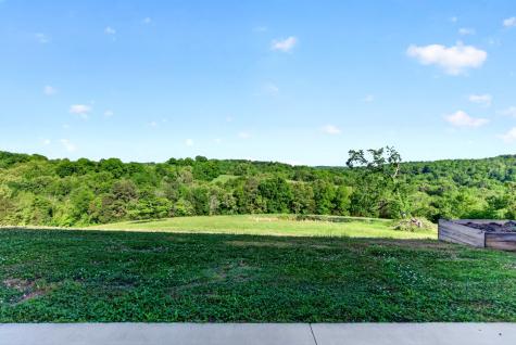 3485 Pinetree Circle Palmyra TN 37142