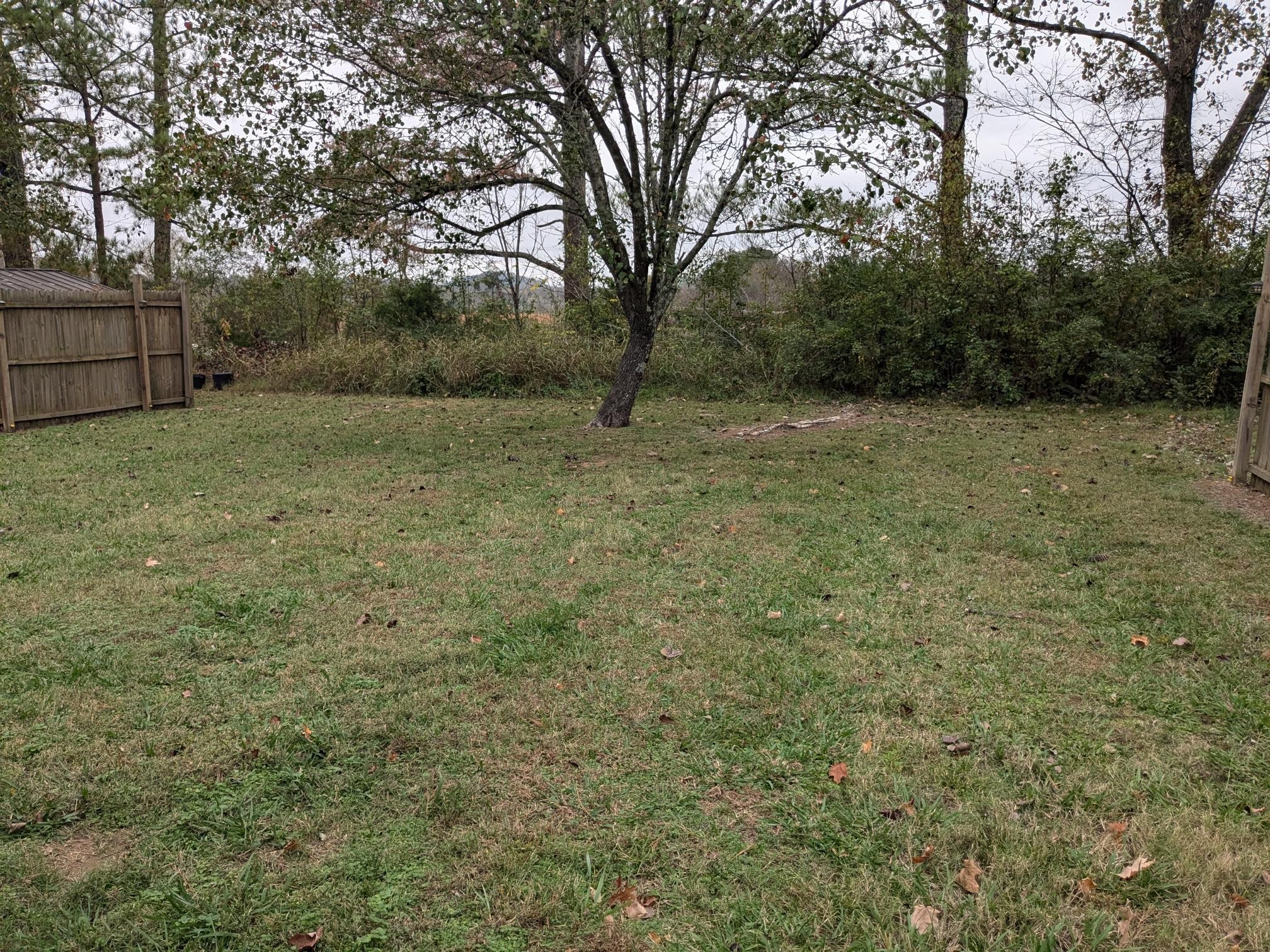 413 Shawnee Drive Columbia TN 38401