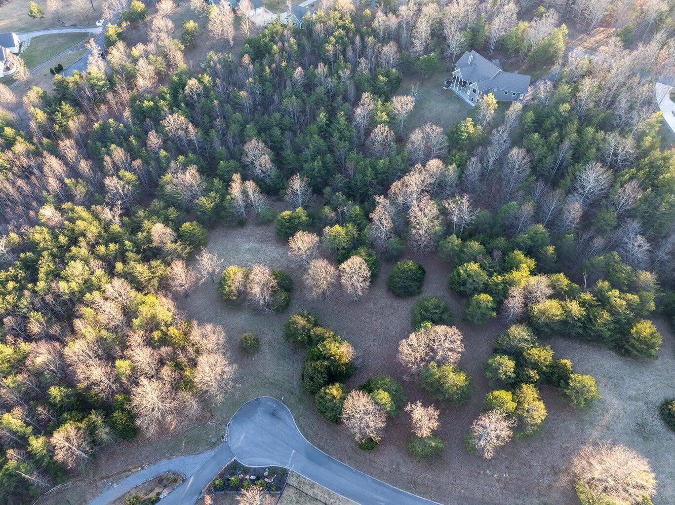 0 Skyhigh Trail Dunlap TN 37327