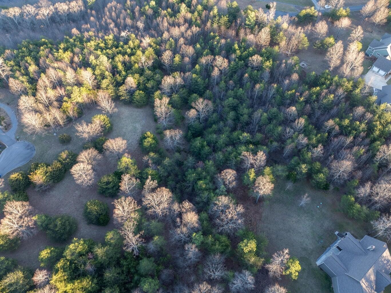 0 Skyhigh Trail Dunlap TN 37327