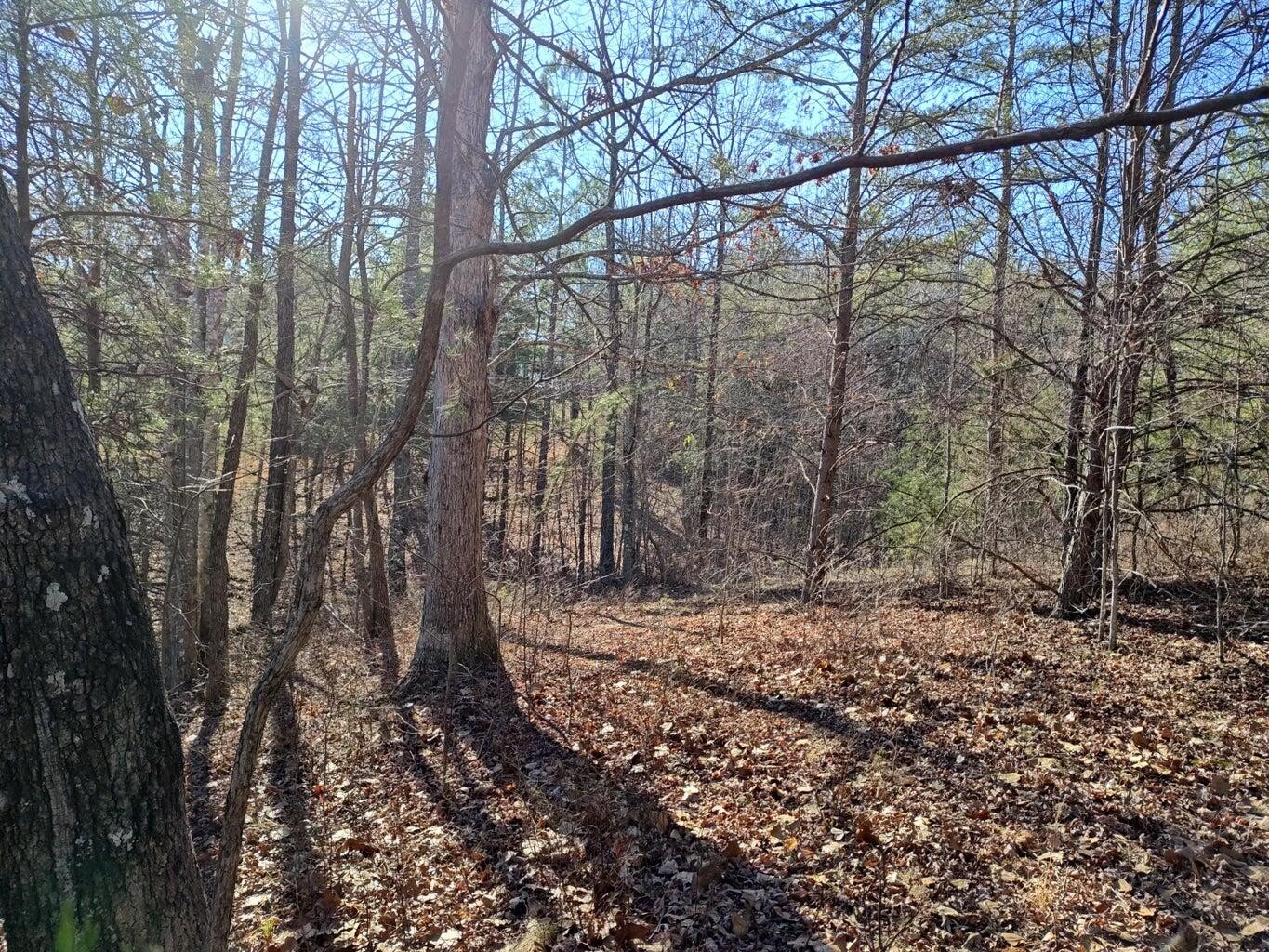 0 Skyhigh Trail Dunlap TN 37327