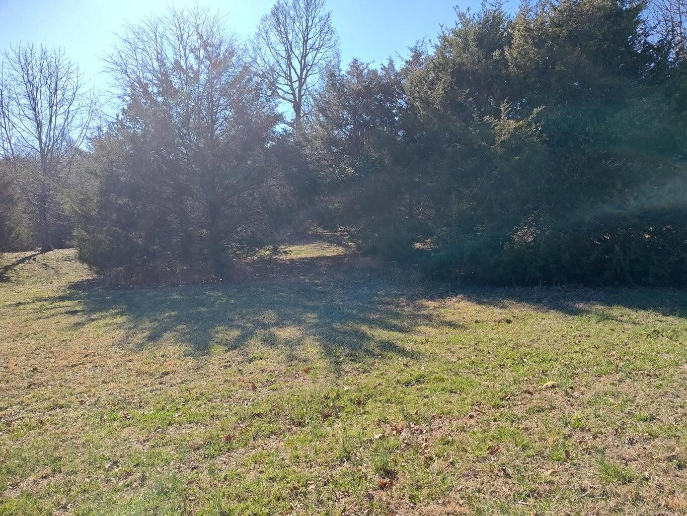 0 Skyhigh Trail Dunlap TN 37327