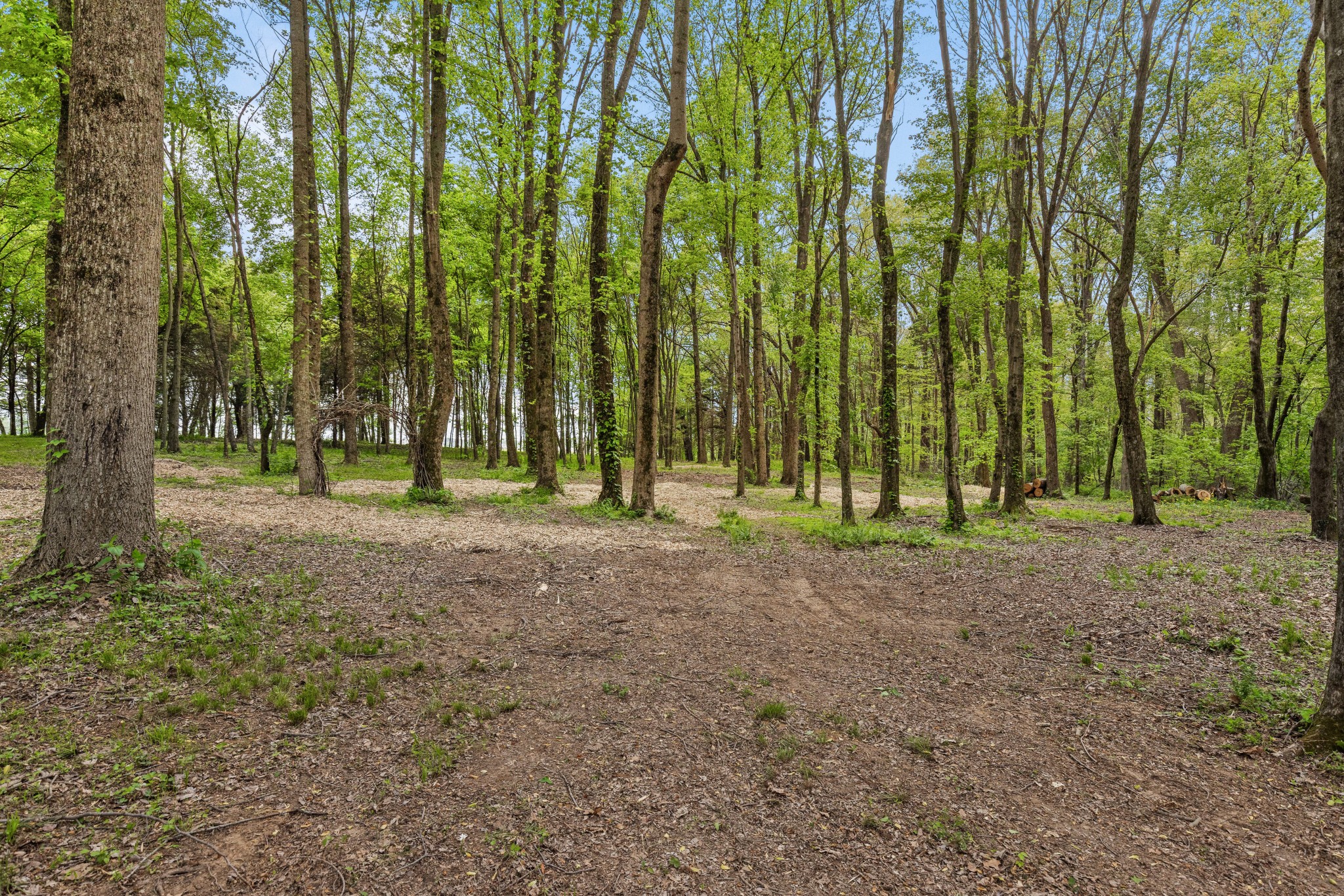 7909 Bill Moss Road White House TN 37188