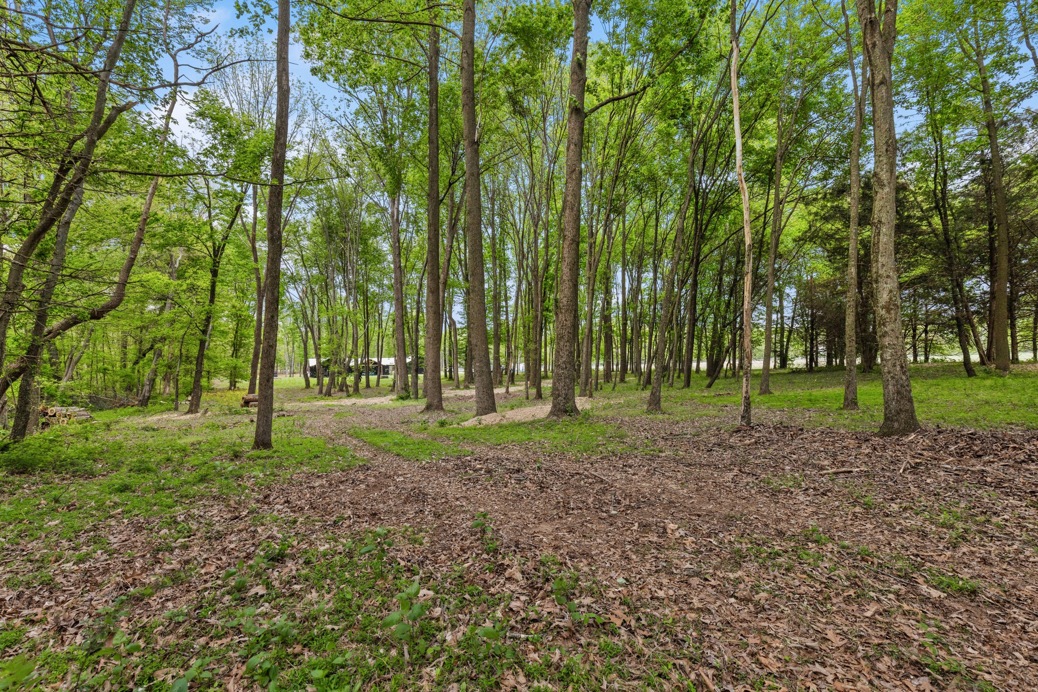 7909 Bill Moss Road White House TN 37188