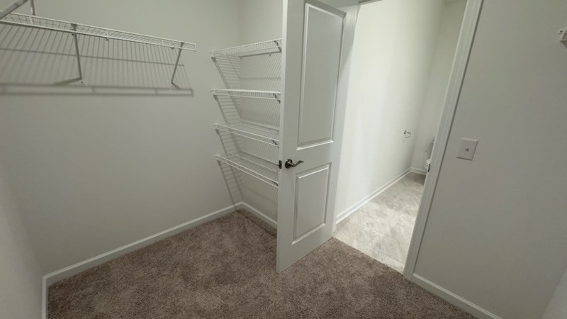 3851 Kindler Court Columbia TN 38401