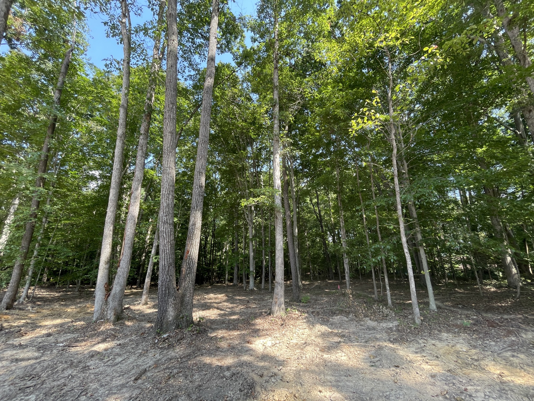 211 Beechwood Court, W Pegram TN 37143
