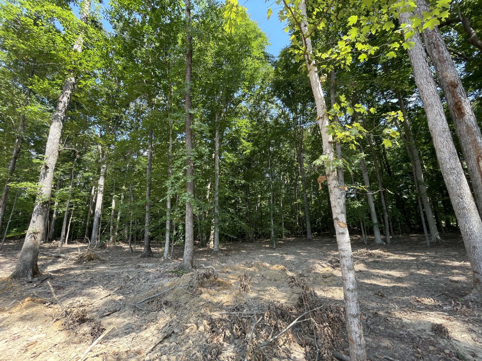 211 Beechwood Court, W Pegram TN 37143