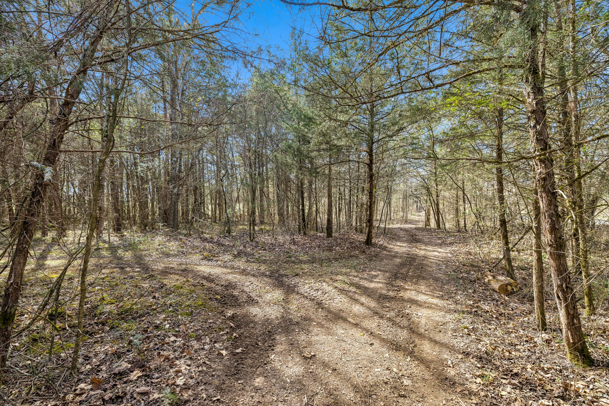 7 Paschal Road Unionville TN 37180