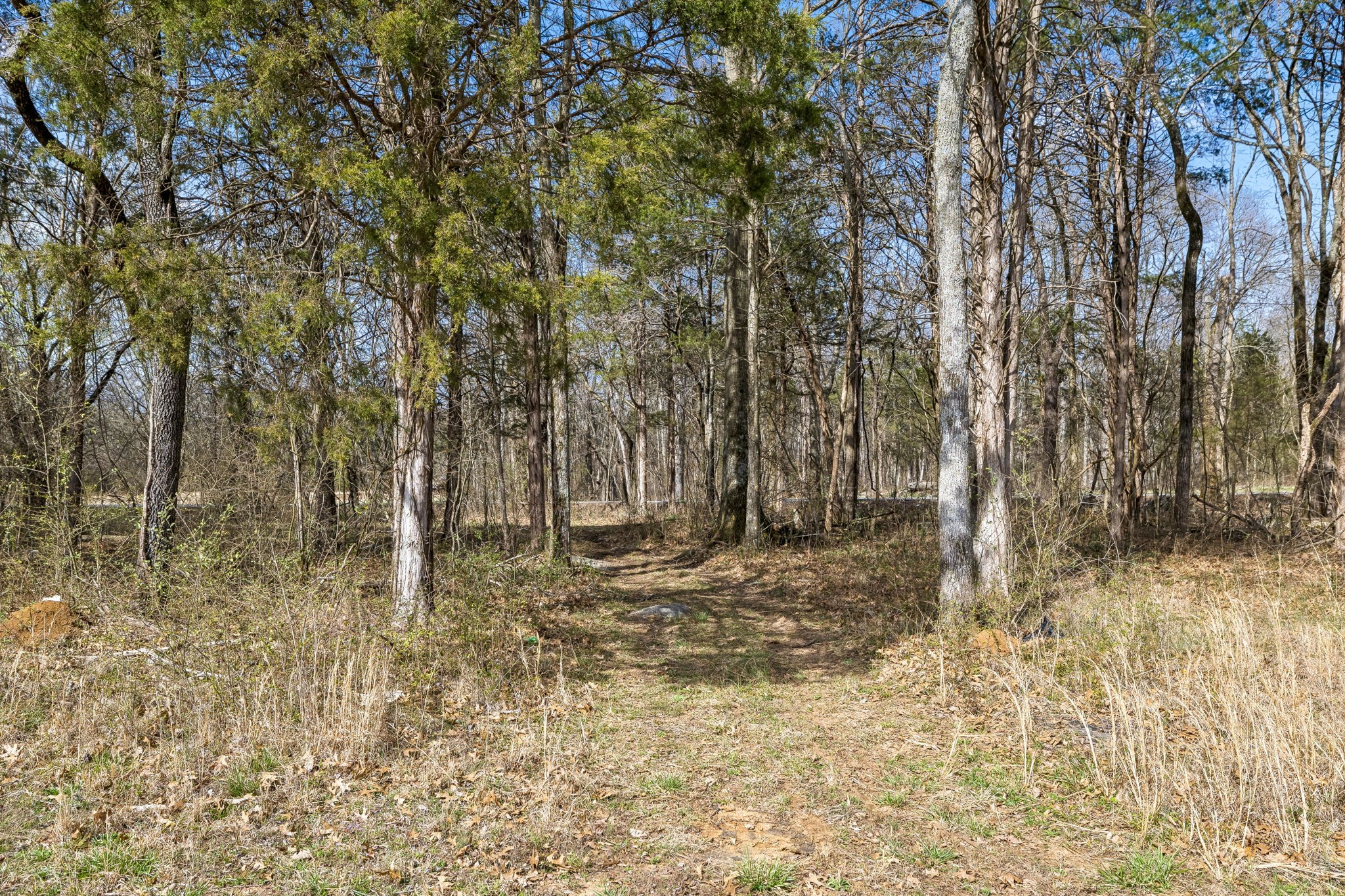 7 Paschal Road Unionville TN 37180