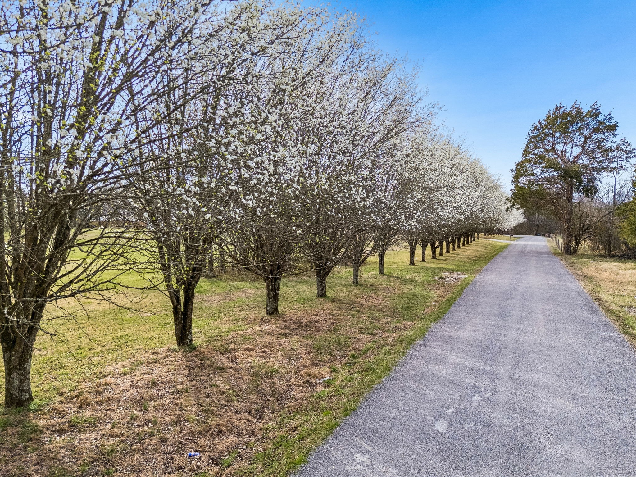 7 Paschal Road Unionville TN 37180