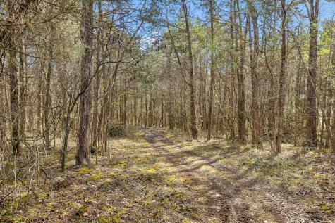 7 Paschal Road Unionville TN 37180