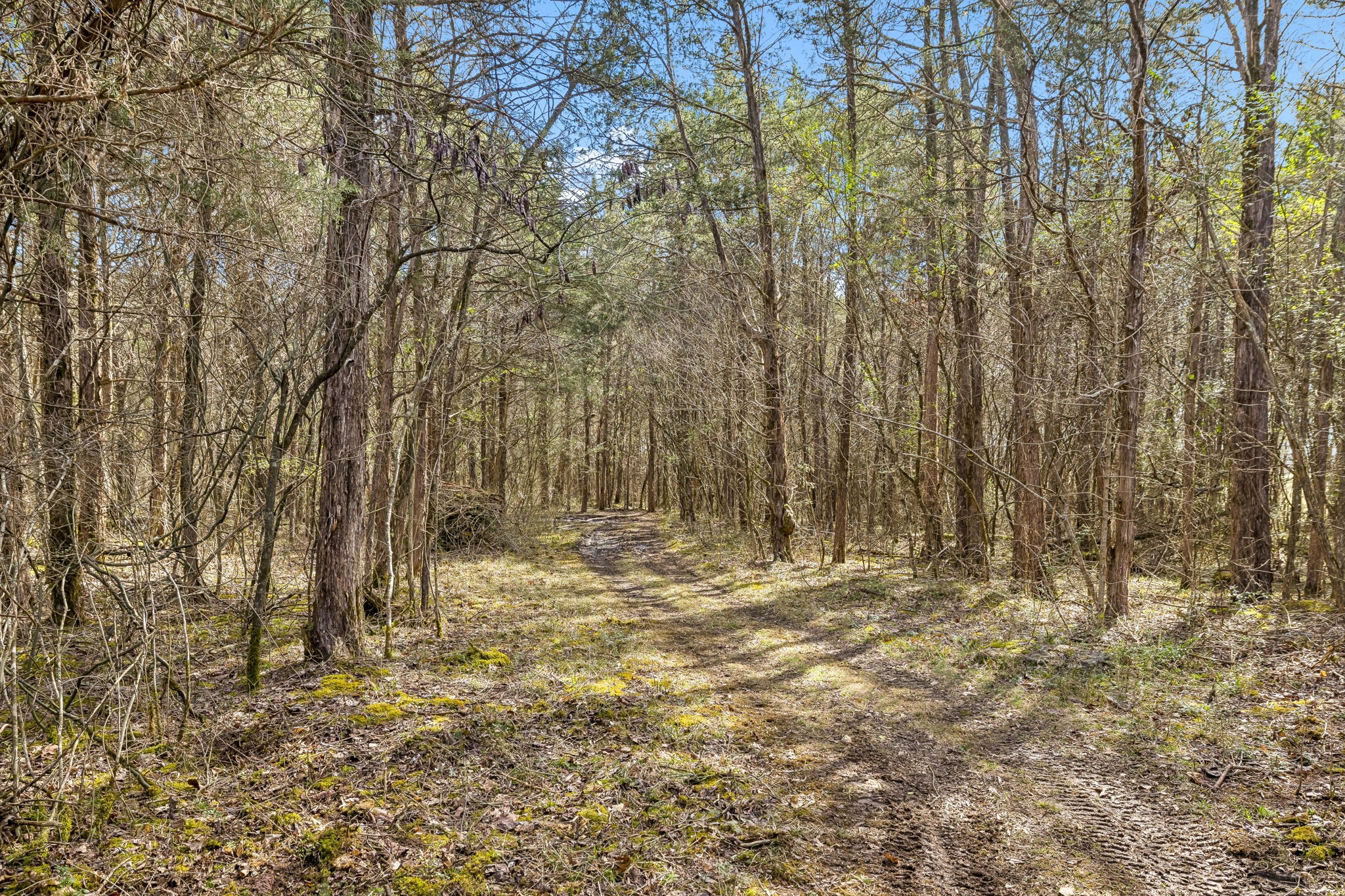 7 Paschal Road Unionville TN 37180