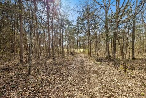 7 Paschal Road Unionville TN 37180