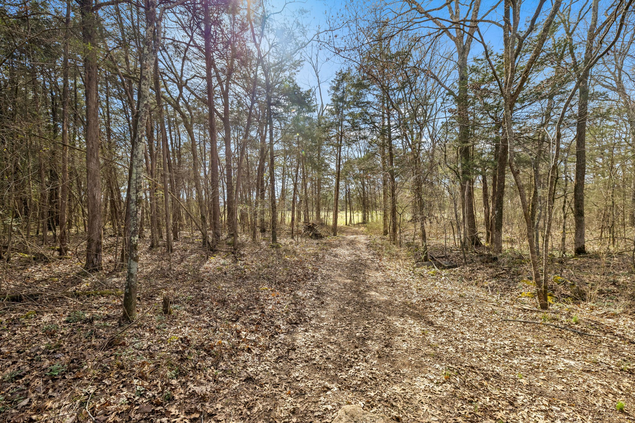 7 Paschal Road Unionville TN 37180