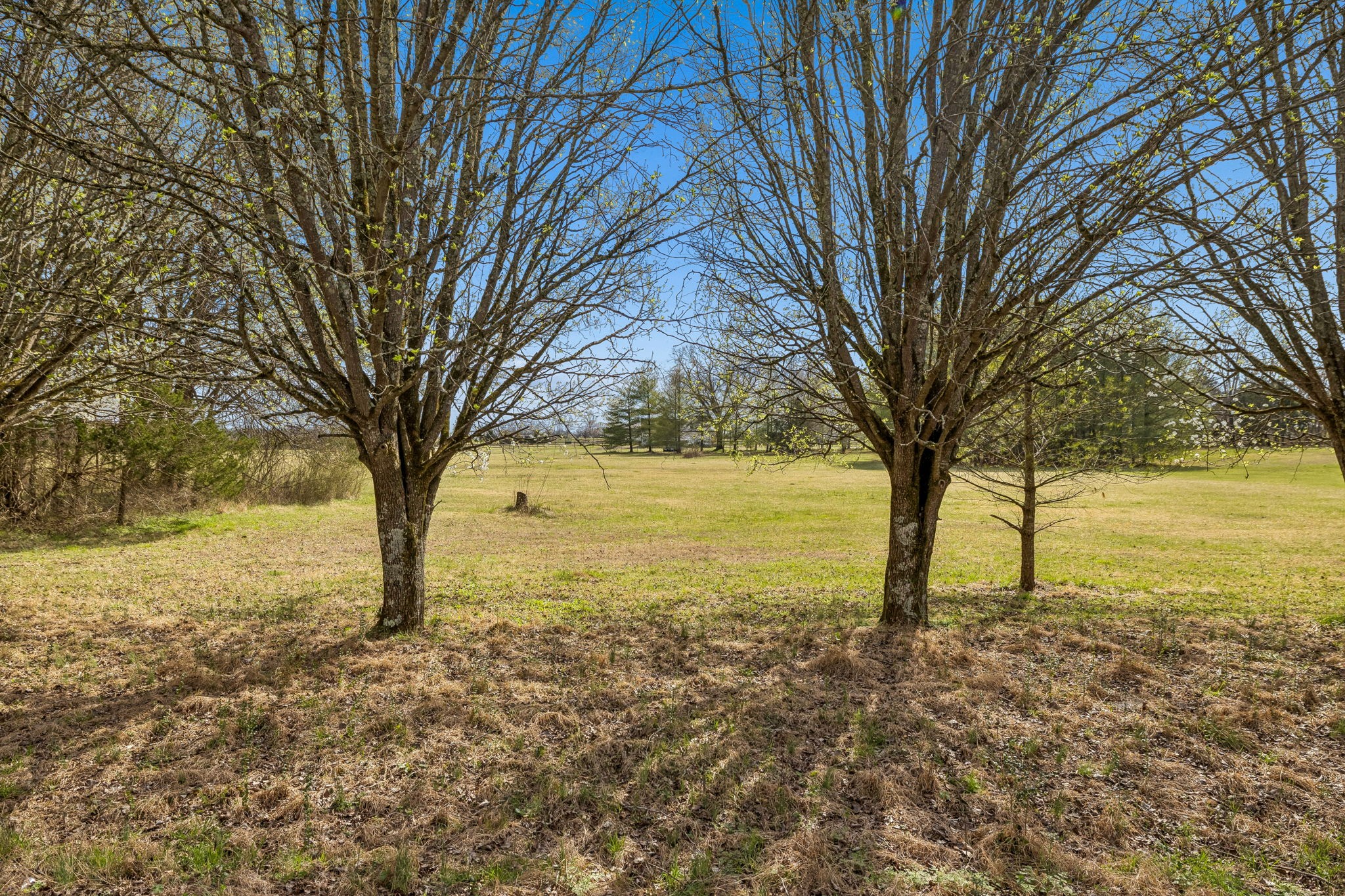 7 Paschal Road Unionville TN 37180