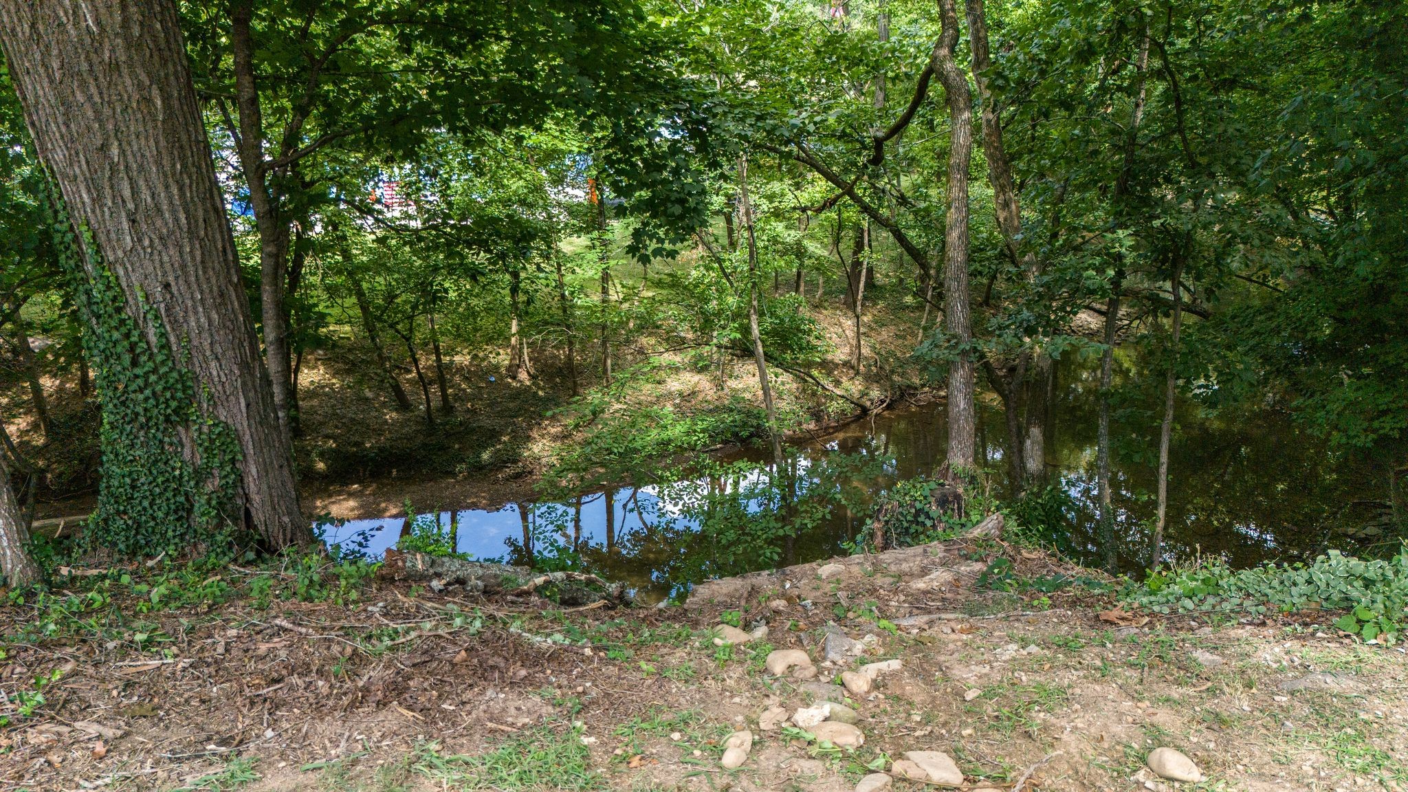 6355 Panorama Drive Brentwood TN 37027