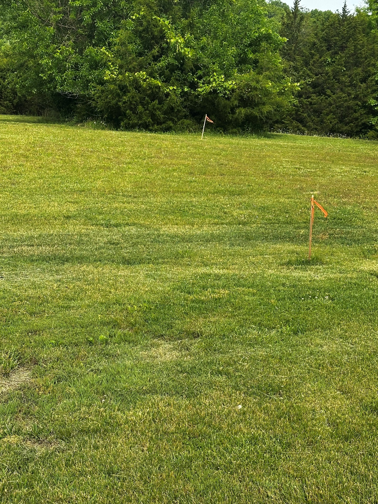 4923 Ash Hill Road Spring Hill TN 37174