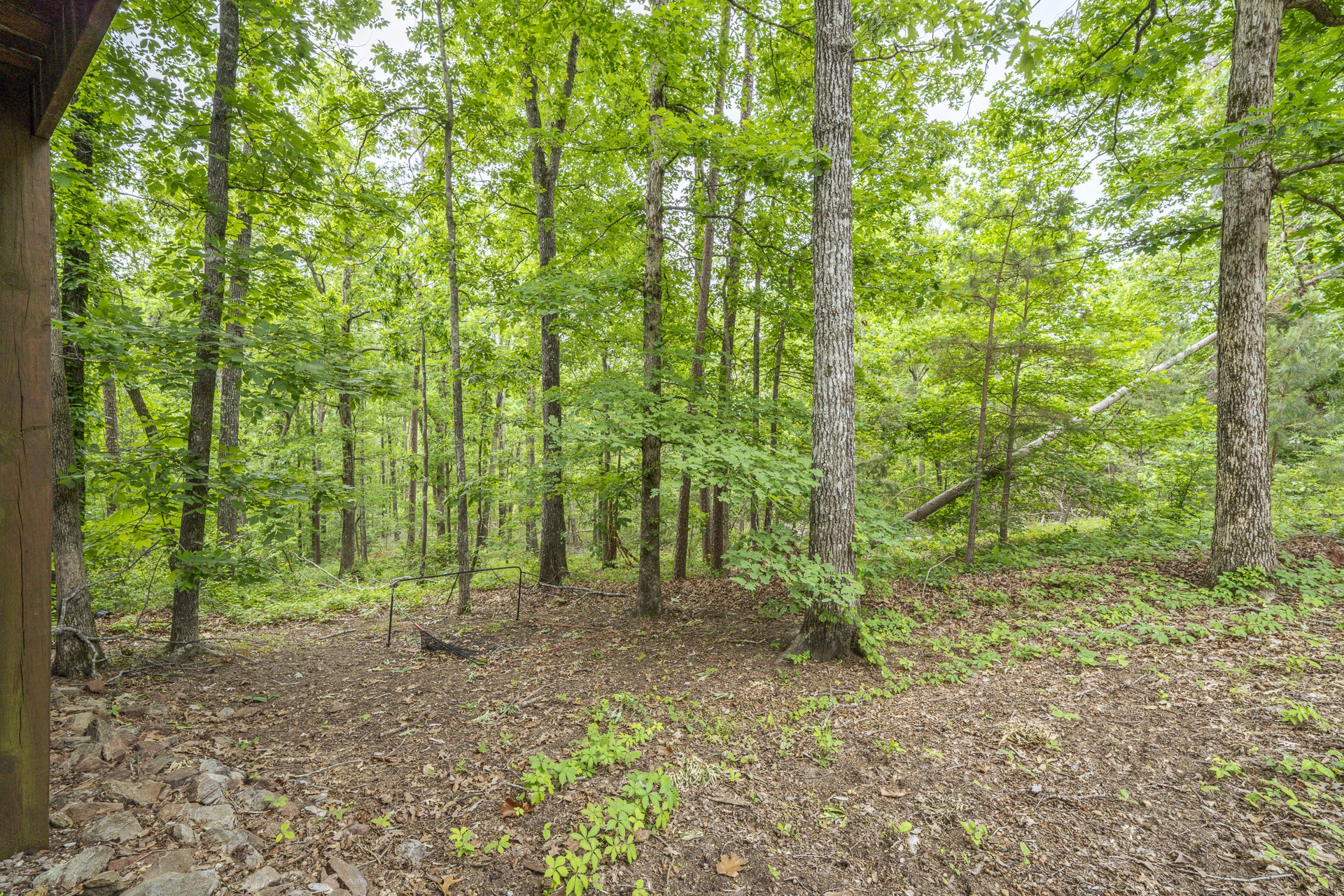 120 Shadow Brook Circle Counce TN 38326