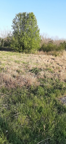 0 Rock Crusher Road Lewisburg TN 37091