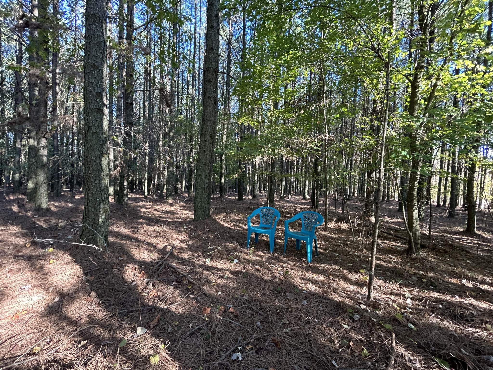 2035 Crockett Point Jasper TN 37347