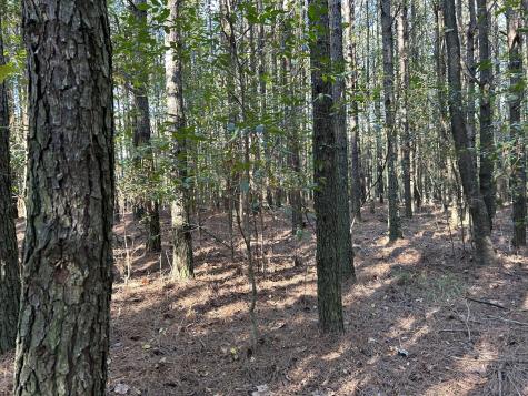 2035 Crockett Point Jasper TN 37347