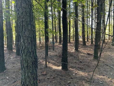 2035 Crockett Point Jasper TN 37347